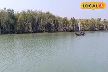 Sundarban Tourism: শীতের সুন্দরবনে ঘুরতে যাওয়ার পারফেক্ট স্পট! ভারতে থেকে বাংলাদেশ দর্শন, রইল শিয়ালদহ থেকে যাওয়ার সহজ রুট
