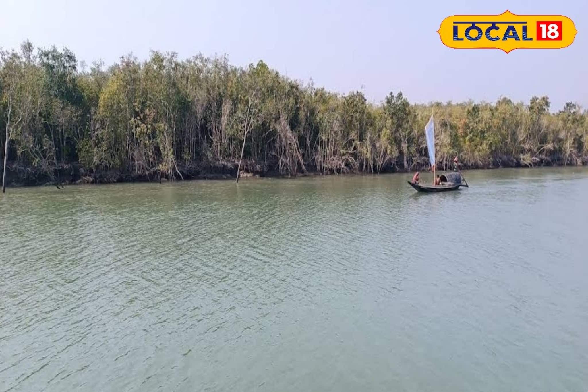 Sundarban Tourism: শীতের সুন্দরবনে ঘুরতে যাওয়ার পারফেক্ট স্পট! ভারতে থেকে বাংলাদেশ দর্শন, রইল শিয়ালদহ থেকে যাওয়ার সহজ রুট