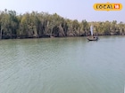 শীতের সুন্দরবনে ঘুরতে যাওয়ার পারফেক্ট স্পট! ভারতে থেকে বাংলাদেশ দর্শন, রইল রুট