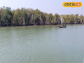 শীতের সুন্দরবনে ঘুরতে যাওয়ার পারফেক্ট স্পট! ভারতে থেকে বাংলাদেশ দর্শন, রইল রুট