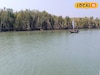 শীতের সুন্দরবনে ঘুরতে যাওয়ার পারফেক্ট স্পট! ভারতে থেকে বাংলাদেশ দর্শন, রইল রুট