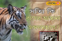 একাধিকবার জঙ্গলমহলে বাঘ, দু'বার মৃত্যু! জঙ্গলমহলে আসার কারণ কী? জানুন