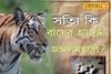 একাধিকবার জঙ্গলমহলে বাঘ, দু'বার মৃত্যু! জঙ্গলমহলে আসার কারণ কী? জানুন