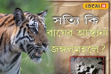 একাধিকবার জঙ্গলমহলে বাঘ, দু'বার মৃত্যু! জঙ্গলমহলে আসার কারণ কী? জানুন