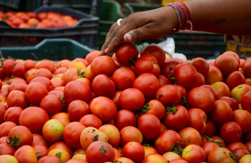 সরবরাহ ঘাটতি অনুমান করা যায় যে কর্ণাটক, মহারাষ্ট্র এবং গুজরাট থেকে আসা ট্রাকের সংখ্যা অর্ধেকেরও বেশি কমে গেছে। এশিয়ার বৃহত্তম সবজি বাজার আজাদপুরের টমেটো ব্যবসায়ী সমিতির চেয়ারম্যান অশোক কোশিক বলেছেন যে অক্টোবরে অতিরিক্ত বৃষ্টিপাতের ফলে ফসলের ব্যাপক ক্ষতি হয়েছে, যা সরবরাহকে মারাত্মকভাবে প্রভাবিত করেছে। ব্যবসায়ীদের মতে, বিয়ের মরশুম এবং আসন্ন নিউ ইয়ার উদযাপনের কারণে টমেটোর চাহিদা বৃদ্ধি পেয়েছে, যা দামের উপর আরও চাপ বাড়িয়েছে।