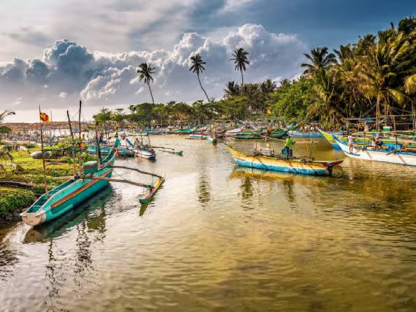 শ্রীলঙ্কা — সৈকত, চা-বাগান ও ঐতিহ্যখুব কাছের দেশ শ্রীলঙ্কা সোনালি সৈকত, সবুজ পাহাড়ি এলাকা এবং সমৃদ্ধ সাংস্কৃতিক ঐতিহ্যে ভরপুর। উপকূল ধরে চলা ট্রেনযাত্রা, অনুরাধাপুরার প্রাচীন ধ্বংসাবশেষ দেখা এবং বিভিন্ন রকম সামুদ্রিক খাবারের স্বাদ—সব মিলিয়ে এক সপ্তাহের সফর অফ-সিজনে ₹৪০,০০০ টাকার মধ্যে সামলানো যায়।