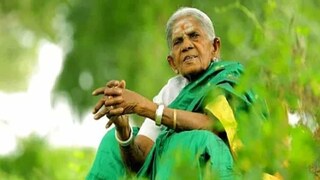 প্রয়াত গাছেদের মা প্রয়াত গাছেদের মা