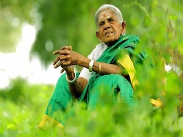 প্রয়াত গাছেদের মা প্রয়াত গাছেদের মা