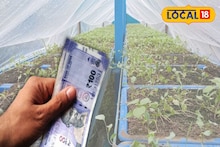 Money Making Tips: বাড়িতে ছোট জায়গা বা ছাদ থাকলেই সবজি চাষ করে হবে আয়! ২০ লক্ষ টাকা বরাদ্দ করে পথ দেখাচ্ছে সিএডিসি