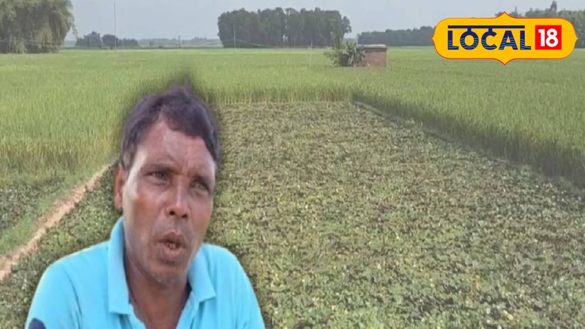 ১২ হাজার টাকা বিনিয়োগে লাভ ৬০ হাজার! চাষের কৌশলে বদল, 'এই' চাষ করে অঢেল কামাচ্ছেন চাষিরা