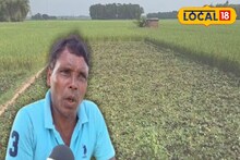 ১২ হাজার টাকা বিনিয়োগে লাভ ৬০ হাজার! চাষের কৌশলে বদল, 'এই' চাষ করে অঢেল কামাচ্ছেন চাষিরা