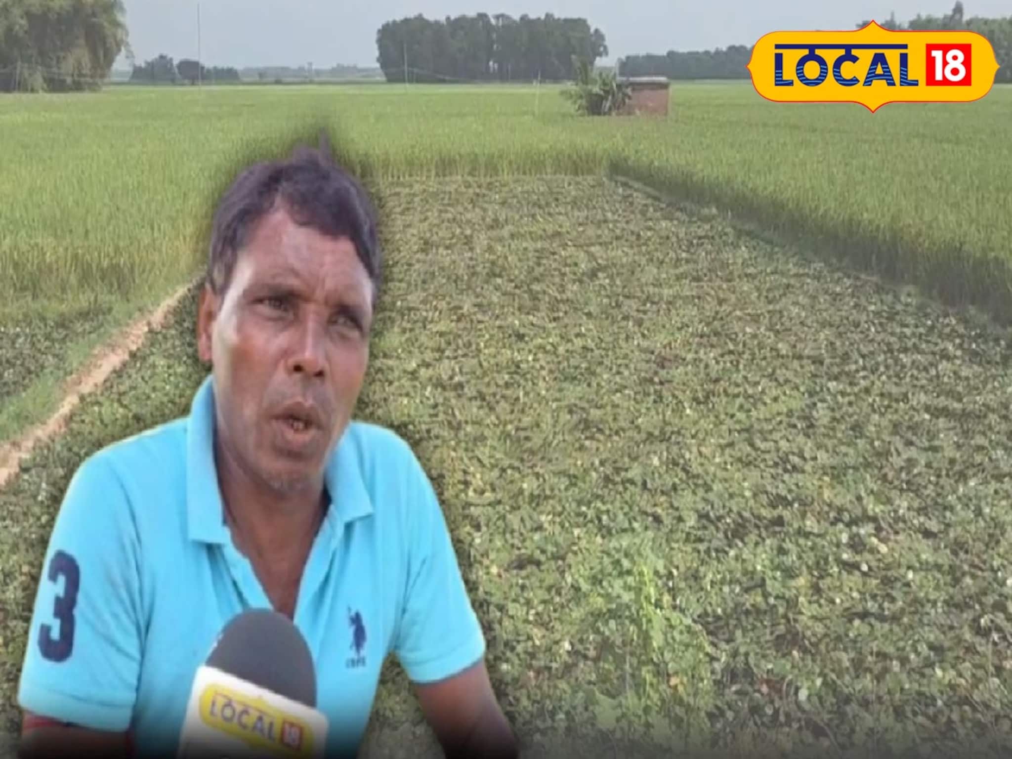 ১২ হাজার টাকা বিনিয়োগে লাভ ৬০ হাজার! চাষের কৌশলে বদল, 'এই' চাষ করে অঢেল কামাচ্ছেন চাষিরা