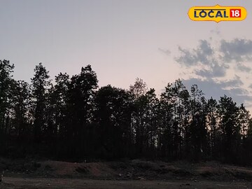 Weather Change Update: পূূবালি হাওয়া হু হু করে ঢুকছে বাংলায়, বদলে গেল আবহাওয়ার খেলা Weather Change Update: পূূবালি হাওয়া হু হু করে ঢুকছে বাংলায়, বদলে গেল আবহাওয়ার খেলা