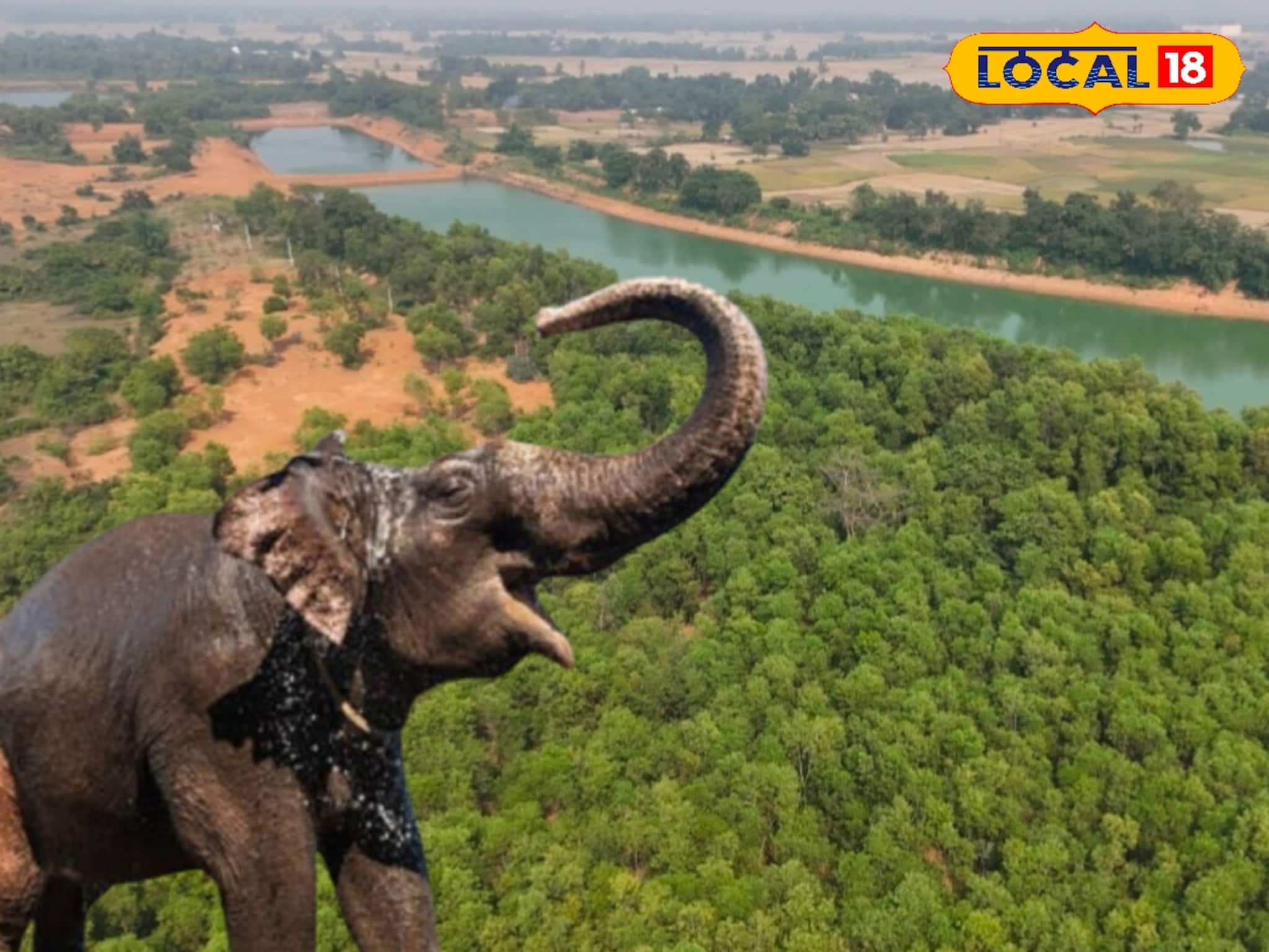 Elephant Sight: প্রকৃতির 'লাইভ শো', সহজে দেখার সুযোগ মেলে শীতে! হাতিদের 'অবাক' জলপান দেখতে ভিড় করেন পর্যটকরা