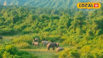 ডুয়ার্সের