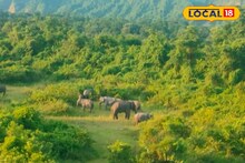 বন্যপ্রাণীর হানায় ক্ষতি হলে পাশে থাকবে বন দফতর! আহত, প্রাণহানিতে দেবে লক্ষ লক্ষ টাকা