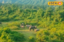 বন্যপ্রাণীর হানায় ক্ষতি হলে পাশে থাকবে বন দফতর! আহত, প্রাণহানিতে দেবে লক্ষ লক্ষ টাকা ক্ষতিপূরণ, জানালেন বনকর্তা