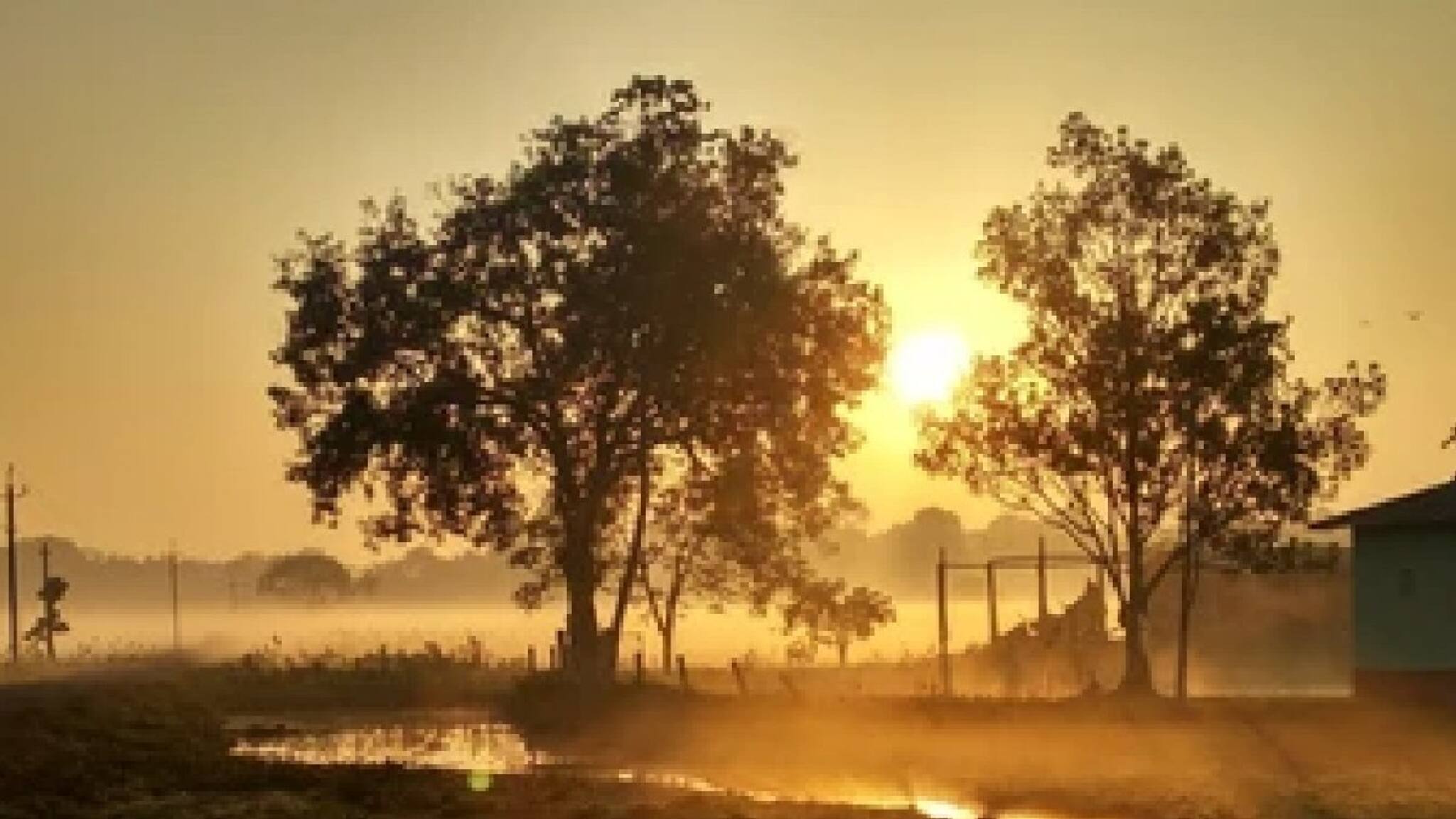 Weather Update: ঠান্ডার পারদ নামায় কলকাতা পিছিয়ে, টেক্কা দিচ্ছে দক্ষিণবঙ্গের একের পর এক জেলা, নভেম্বরেই শীত এল বলে