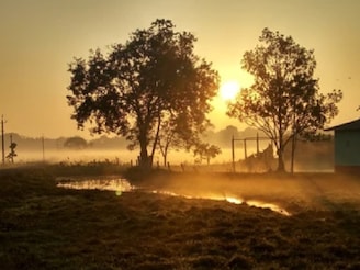 ঠান্ডার পারদ নামায় কলকাতা পিছিয়ে, টেক্কা দিচ্ছে দক্ষিণবঙ্গের একের পর এক জেলা, নভেম্বরেই