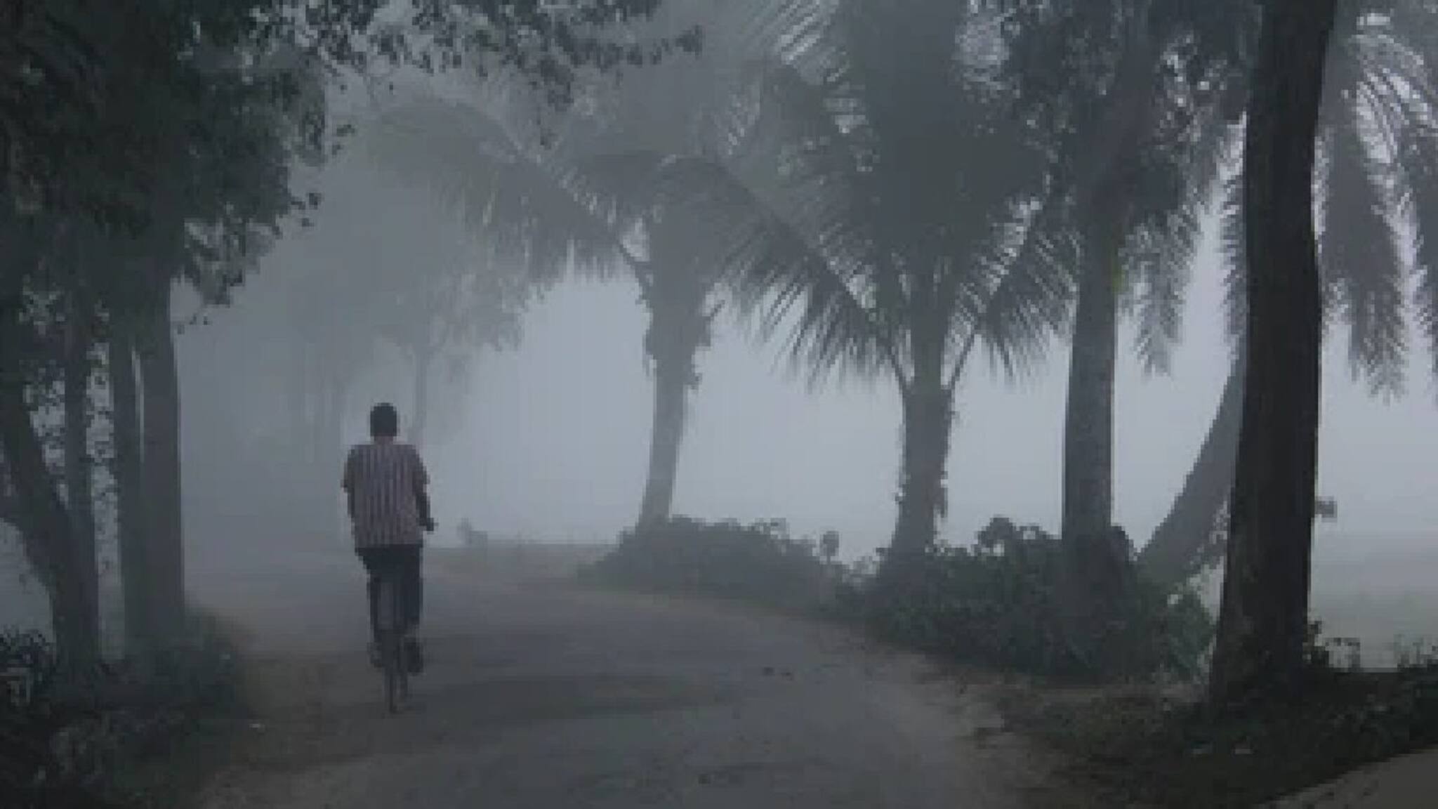 রোজই ঝপঝপ করে নামছে তাপমাত্রার পারদ, শীতের হাওয়া জেলায়-জেলায়, আসল শীত এল বলে