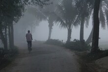 রোজই ঝপঝপ করে নামছে তাপমাত্রার পারদ, শীতের হাওয়া জেলায়-জেলায়, আসল শীত এল বলে