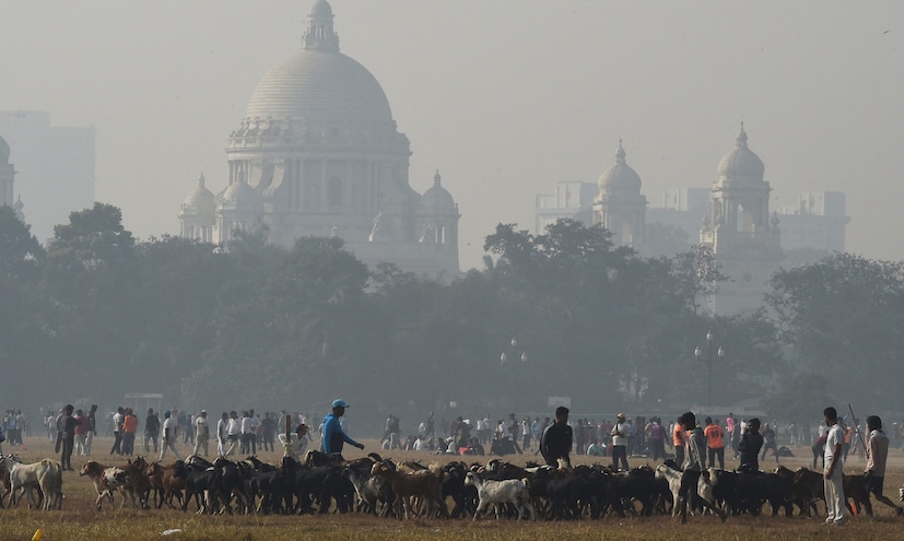 দিন–রাতের তাপমাত্রা এখন স্বাভাবিকের কাছাকাছি।সোমবার পর্যন্ত তাপমাত্রা বাড়লেও মঙ্গলবার থেকে নিম্নমুখী হবে পারদ।
সকালে কুয়াশা বা ধোঁয়াশা, পরে পরিষ্কার আকাশ।