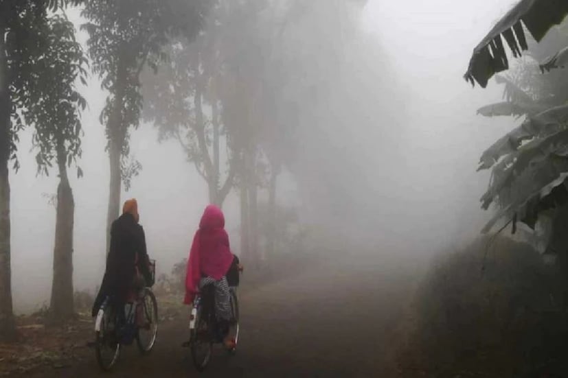 আবহাওয়া দফতর (IMD) অনুসারে, দিল্লি-এনসিআর-এ সর্বনিম্ন তাপমাত্রা ১১ ডিগ্রি সেলসিয়াসে নেমে এসেছে। শনিবার ছিল এখন পর্যন্ত মরশুমের সবচেয়ে ঠান্ডা রাত। সর্বনিম্ন তাপমাত্রা মরশুমের স্বাভাবিকের চেয়ে ৩.৩ ডিগ্রি সেলসিয়াস কম রেকর্ড করা হয়েছে। 