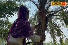 সংসার চালাতে গাছে উঠে সংগ্রহ করছেন খেজুর রস মাজিদা, জেলায় প্রথম দেখা গেল মহিলা শিউলি