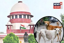 বাসস্ট্যান্ড, রেল স্টেশন চত্বরে থাকবে না কোনও পথকুকুর! এল সুপ্রিম কোর্টের বড় নির্দেশ