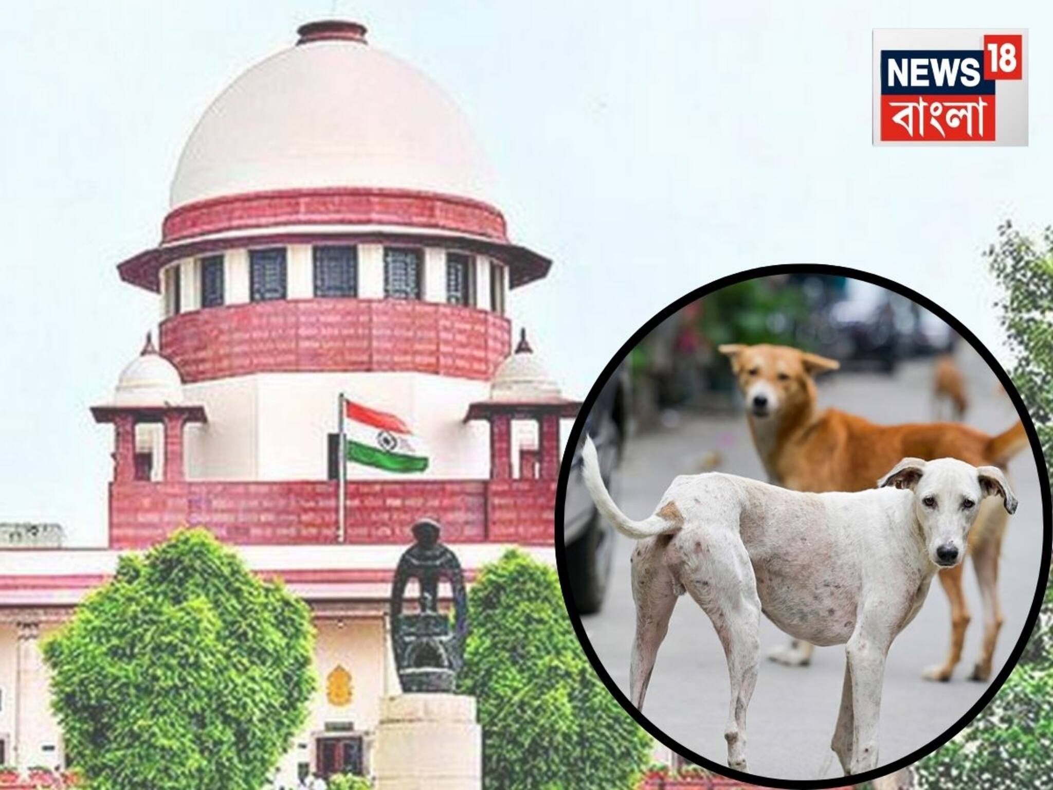 Supreme Court on Street Dogs: বাসস্ট্যান্ড, রেল স্টেশন চত্বরে থাকবে না কোনও পথকুকুর! খাওয়ানো যাবে না যেখানে সেখানে, এল সুপ্রিম কোর্টের বড় নির্দেশ