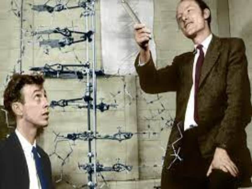 এরপরে জেমস ডি ওয়াটসন এবং ফ্রান্সিস ক্রিক যৌথ ভাবে ডিএনএ-র ডাবল হেলিক্স স্ট্রাকচার ব্যাখ্যা করেন৷ যা বিংশ শতাব্দীর সবচেয়ে গুরুত্বপূর্ণ বৈজ্ঞানিক আবিষ্কারগুলির অন্যতম বলে মনে করা হয়৷ 