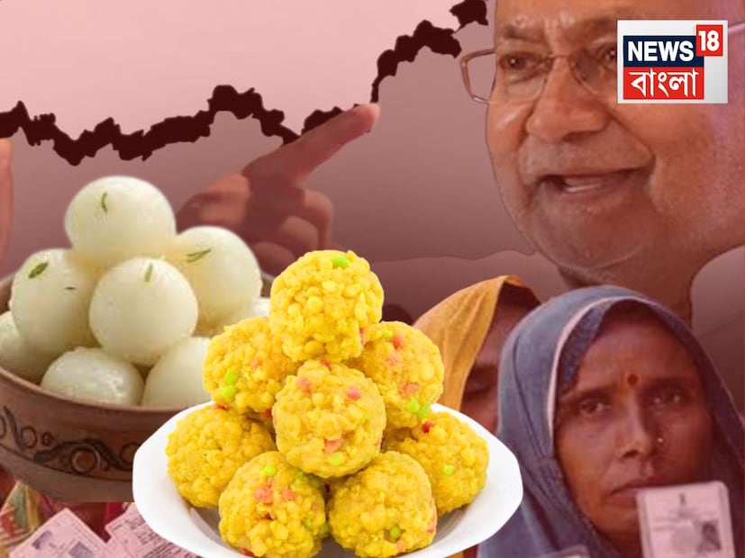 বিহারে ভোটপ্রচার চলাকালীন বলা হয়,‘হামারে গাঁও মে তো ভেঁইস ভি পাঙ্খে কে নিচে শোতি হ্যায়’