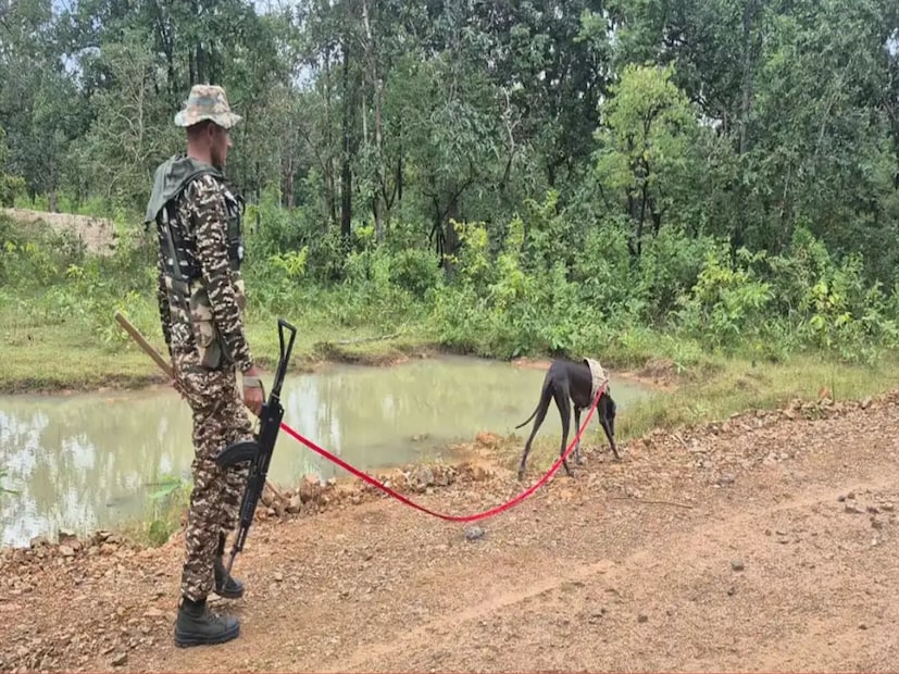 তারপরে, এনকাউন্টারের আগে শেষ ৩৪ ঘণ্টা নিবিড় পর্যবেক্ষণে রাখা হয় হিডমার গতিবিধি৷ তারপরে ছোট একটি দল নিয়ে সোজা ঘাঁটিতে হামলা৷ কিন্তু, এখানেই শেষ নয়...