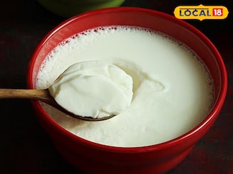  শীতে টকদই কিছুতেই বসছে না? বিশেষজ্ঞদের থেকে সহজ এই উপায় শিখুন, শীতেও চাক বাঁধবে থকথকে দই!