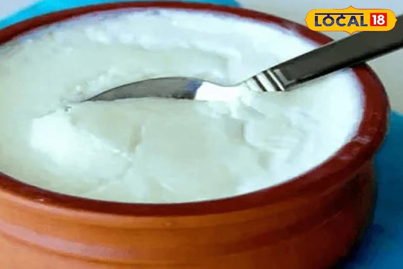 শীতকালে দই জমাতে তাপমাত্রাই মূল সিদ্ধান্তকারী। সঠিক দুধ ব্যবহার, ঠিক মতো গরম করা, আর স্টার্টার দেওয়ার পর পাত্র না ছোঁয়া—এই সহজ নিয়মগুলো মানলেই ল্যাক্টোব্যাসিলাস ঠিক মতো কাজ করতে পারে।