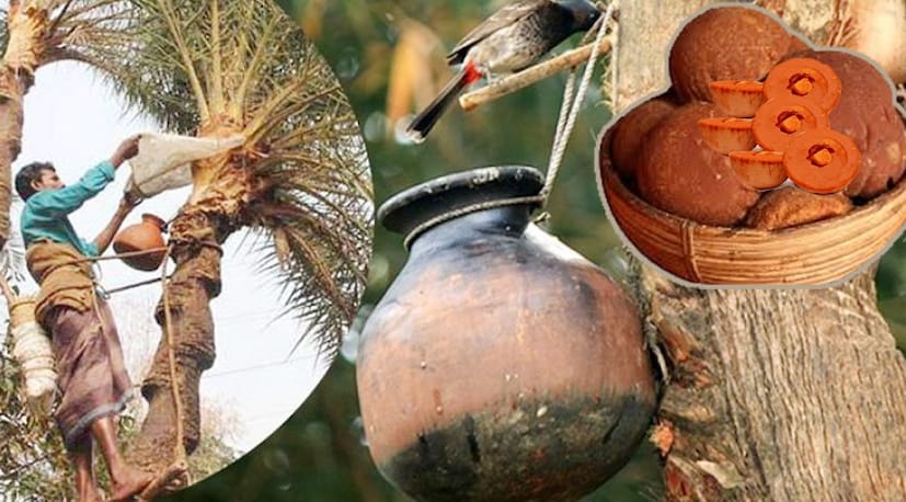 টাটকা তাজা খেজুরে গুড়ের চাহিদা ব্যাপক, দক্ষিণ ২৪ পরগনায় ২০০ টাকা প্রতি কেজি গুড়, নদীয়া'য় ৩০০-৩৫০ টাকা কেজি গুড়, হাওড়ায় অবিশ্বাস্য কম দামে খেজুর গুড় পাওয়া যাচ্ছে। 