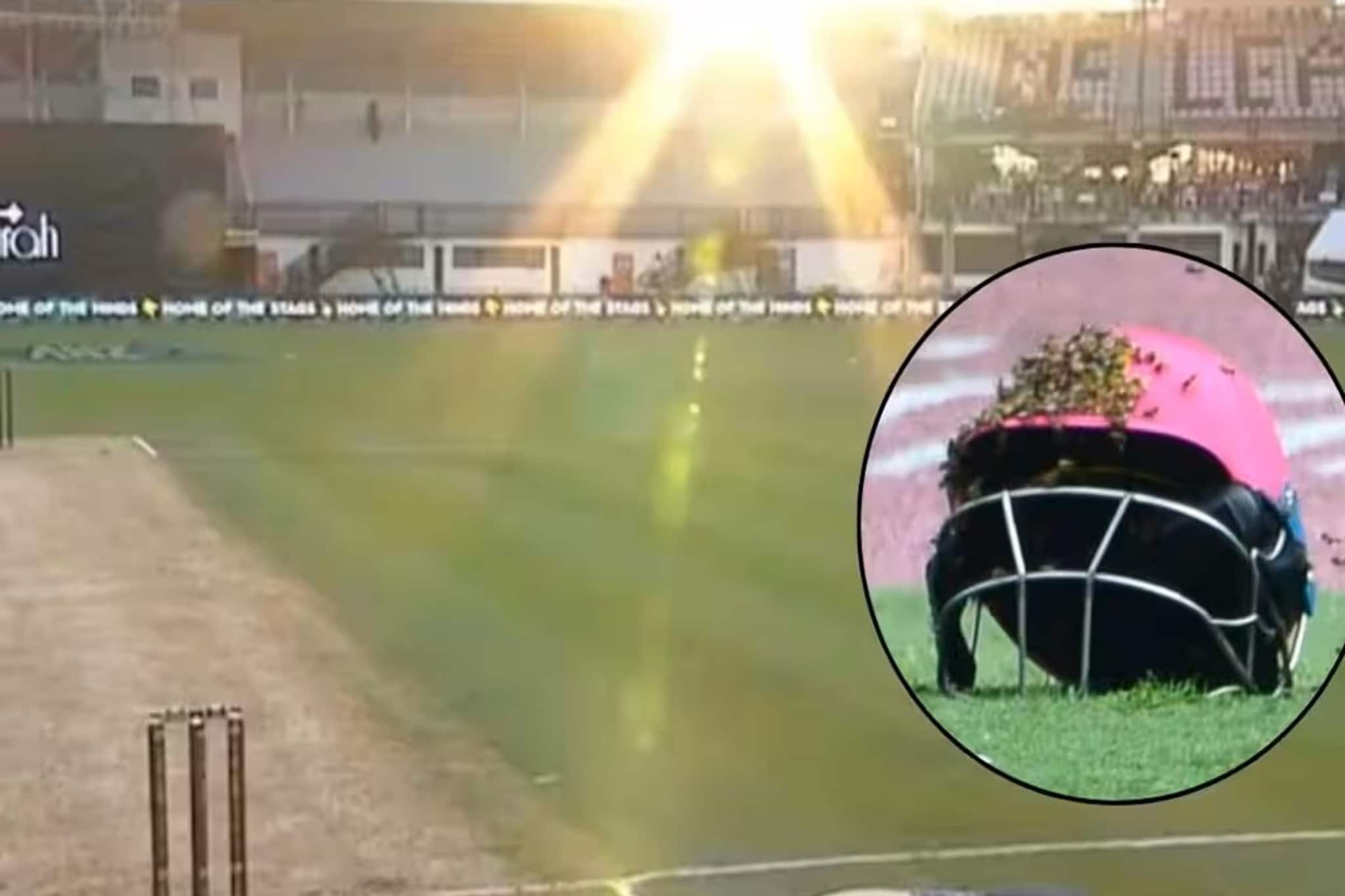 রোদ, কুয়াশা নয়—মৌমাছি থেকে ফায়ার অ্যালার্ম! যে ৫ আজব ঘটনায় বন্ধ হয়েছিল ক্রিকেট