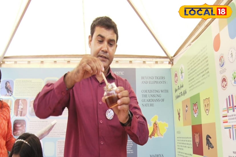 কিছু কৌশল আছে যা ব্যবহার করে যে কেউ সহজেই কয়েক মিনিটের মধ্যে আসল এবং নকল মধুর মধ্যে পার্থক্য করতে পারে। এটি করার জন্য, মানুষকে কয়েকটি ধাপ অনুসরণ করতে হবে। 