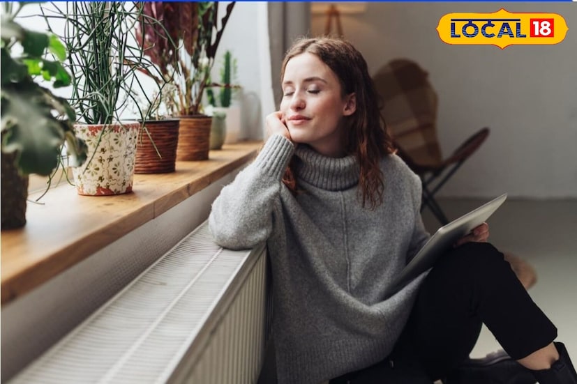 শীতকালে সাধারণ চাদর আপনার গায়ে বেশি বেশি ঠান্ডা লাগতে পারে। সেক্ষেত্রে ঘরে থাকাকালীন পশমী, ফ্লানেল বা মোটা লেপ ব্যবহার করা উচিত। একইসঙ্গে বিছানার নীচে হালকা চাদর বা মাদুর রাখলে তাপ ধরে রাখা যায়। এটি শোবার ঘরটিকে উষ্ণ এবং আরামদায়ক রাখে।