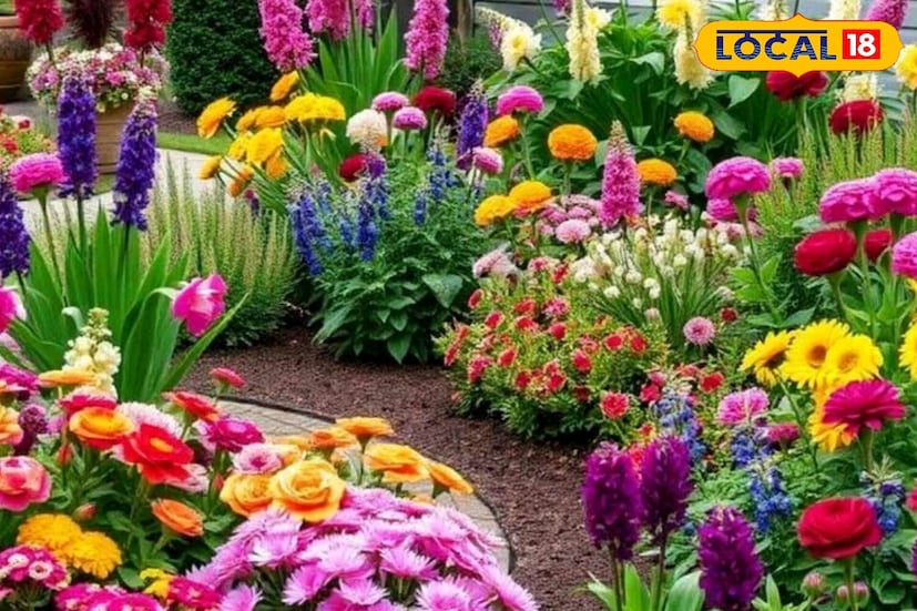 *ডিসেম্বর মাসকে ফুলের বাগানে রঙ যোগ করার জন্য উপযুক্ত সময় হিসেবে বিবেচনা করা হয়। ঠান্ডা বাতাসে ফোটা ফুল কেবল আবহাওয়াকে উজ্জ্বল করে না বরং আপনার বাগানের আকর্ষণও বহুগুণে বাড়িয়ে দেয়। ডিসেম্বরে নির্দিষ্ট কিছু ফুলের চারা রোপণ করলে জানুয়ারী থেকে এপ্রিল মাস পর্যন্ত অসাধারণ ফুলে ভরে থাকবে আপনার ছাদ, ব্যালকনি বা বাড়ির সামনের বা পিছনের বাগান। *ডিসেম্বর মাসকে ফুলের বাগানে রঙ যোগ করার জন্য উপযুক্ত সময় হিসেবে বিবেচনা করা হয়। ঠান্ডা বাতাসে ফোটা ফুল কেবল আবহাওয়াকে উজ্জ্বল করে না বরং আপনার বাগানের আকর্ষণও বহুগুণে বাড়িয়ে দেয়। ডিসেম্বরে নির্দিষ্ট কিছু ফুলের চারা রোপণ করলে জানুয়ারী থেকে এপ্রিল মাস পর্যন্ত অসাধারণ ফুলে ভরে থাকবে আপনার ছাদ, ব্যালকনি বা বাড়ির সামনের বা পিছনের বাগান।