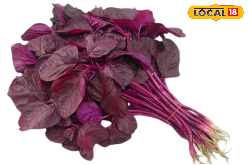 *পাহাড়ি খাবারের মধ্যে ঐতিহ্যবাহী সবুজ শাক-সবজি, আমড়ান্থকে স্বাস্থ্যের ভাণ্ডার হিসেবে বিবেচনা করে হয়। এটি সস্তা, সহজলভ্য, স্বাদে হালকা এবং পুষ্টিতে সমৃদ্ধ। উল্লেখযোগ্যভাবে, আমড়ান্থ চোখের স্বাস্থ্যের জন্য অত্যন্ত উপকারী বলে বিবেচিত হয়। আজকের ডিজিটাল জীবনযাত্রায়, যেখানে মোবাইল ফোন এবং কম্পিউটার চোখের উপর চাপ বাড়ায়, সেখানে নিয়মিত আমড়ান্থ চোখের প্রাকৃতিক সুরক্ষা দেয়। *পাহাড়ি খাবারের মধ্যে ঐতিহ্যবাহী সবুজ শাক-সবজি, আমড়ান্থকে স্বাস্থ্যের ভাণ্ডার হিসেবে বিবেচনা করে হয়। এটি সস্তা, সহজলভ্য, স্বাদে হালকা এবং পুষ্টিতে সমৃদ্ধ। উল্লেখযোগ্যভাবে, আমড়ান্থ চোখের স্বাস্থ্যের জন্য অত্যন্ত উপকারী বলে বিবেচিত হয়। আজকের ডিজিটাল জীবনযাত্রায়, যেখানে মোবাইল ফোন এবং কম্পিউটার চোখের উপর চাপ বাড়ায়, সেখানে নিয়মিত আমড়ান্থ চোখের প্রাকৃতিক সুরক্ষা দেয়।