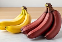 Red Banana Benefits: কোষ্ঠকাঠিন্যের জন্য রোজ কলা খাচ্ছেন? কাঁঠালি, সিঙ্গাপুরি ছাড়ুন, পুষ্টির ভান্ডার 'লাল কলা'...! রোজ ১ টা খেলেই গলগলিয়ে বেরবে পেটের 'নোংরা'