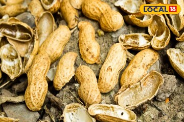 রান্নাঘরেই লুকিয়ে বিউটির সিক্রেট! বাদামের খোসা দেয় দারুণ কাজ...মোলায়েম হয় গোড়ালি