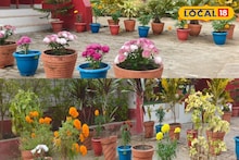 Gardening Tips: বাগান তৈরির 'সিক্রেট' টিপস এটাই! বিনা খরচে বাড়িতে ফলবে তাজা সবজি! রঙিন ফুলে ভরবে বাগান