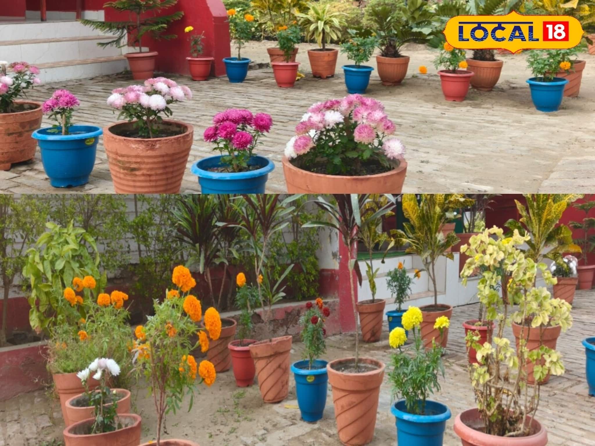 বাগান তৈরির 'সিক্রেট' টিপস এটাই! বিনা খরচে বাড়িতে ফলবে তাজা সবজি! রঙিন ফুলে ভরবে বাগান বাগান তৈরির 'সিক্রেট' টিপস এটাই! বিনা খরচে বাড়িতে ফলবে তাজা সবজি! রঙিন ফুলে ভরবে বাগান