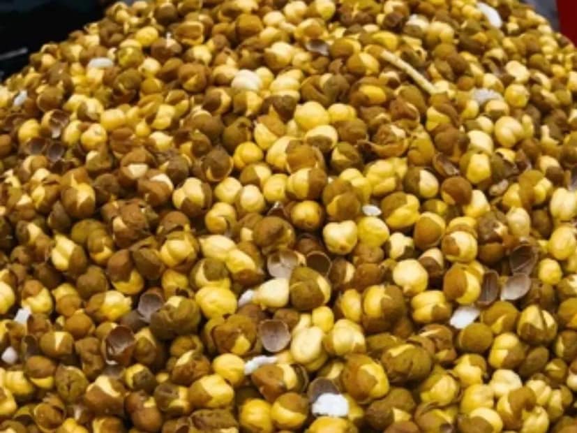 গন্ধ পরীক্ষা: আসল ভাজা ছোলা থেকে স্বাভাবিক ভাজা গন্ধ বার হয়, কিন্তু রাসায়নিক দিয়ে প্রক্রিয়াজাত ছোলায় সাবানের মতো বা কৃত্রিম গন্ধ থাকে।