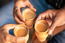 ‘সাপের কামড়ের থেকেও বেশি বিপজ্জনক’? চা–প্রেমীদের জন্য চমকে দেওয়া সতর্কতা! কী ভাবে এড়াবেন ‘বিষাক্ত’ চা?