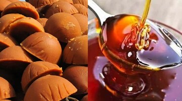 শীত আসতেই বাড়ছে খেজুর গুড়ের চাহিদা, কম দামে ভাল মানের গুড়ের ঠিকানা, কলকাতার খুব কাছে