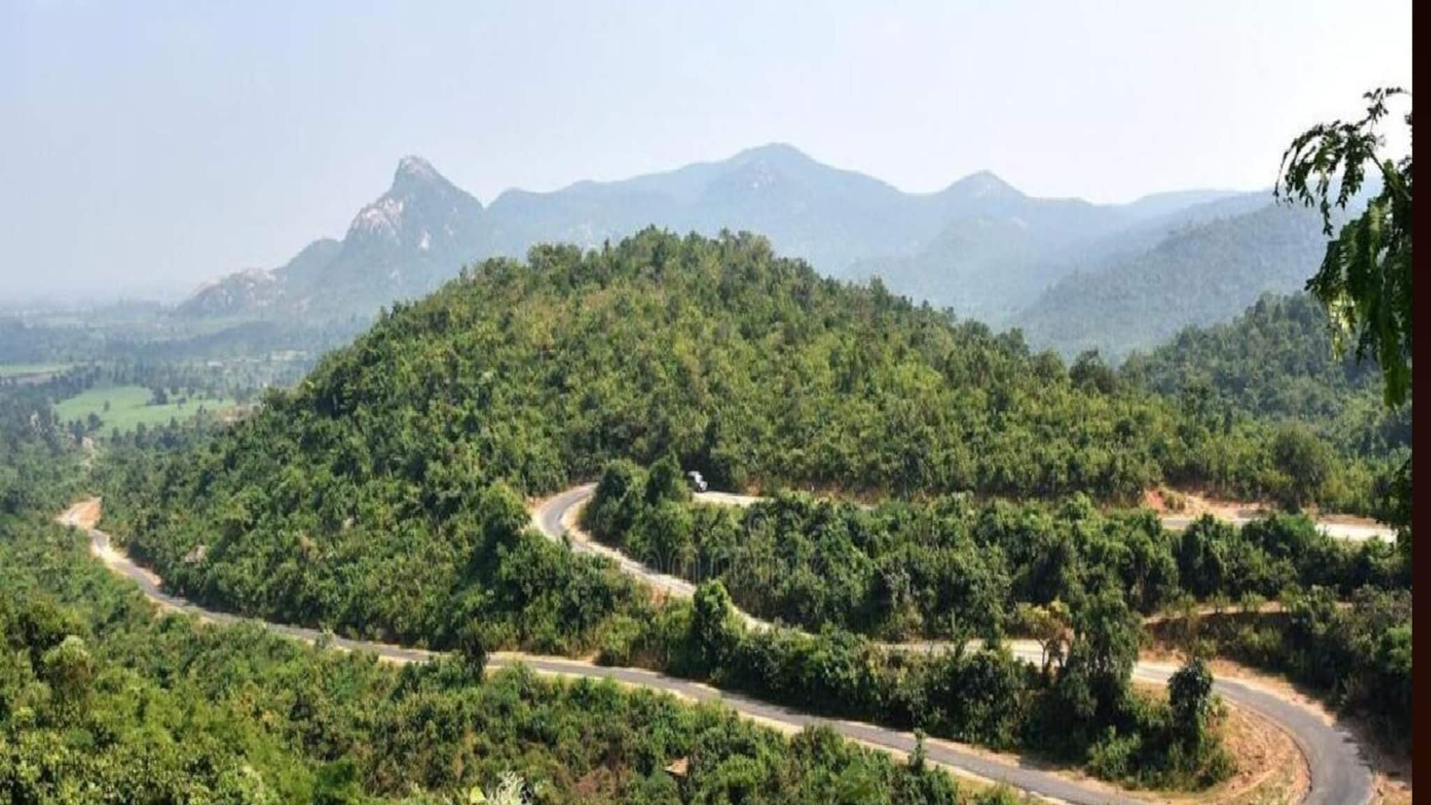 Purulia Tourism: শীতে পর্যটকদের ভিড় পুরুলিয়ার অযোধ্যা পাহাড়ে! হোটেল, হোমস্টে-তে রেকর্ড ভিড়