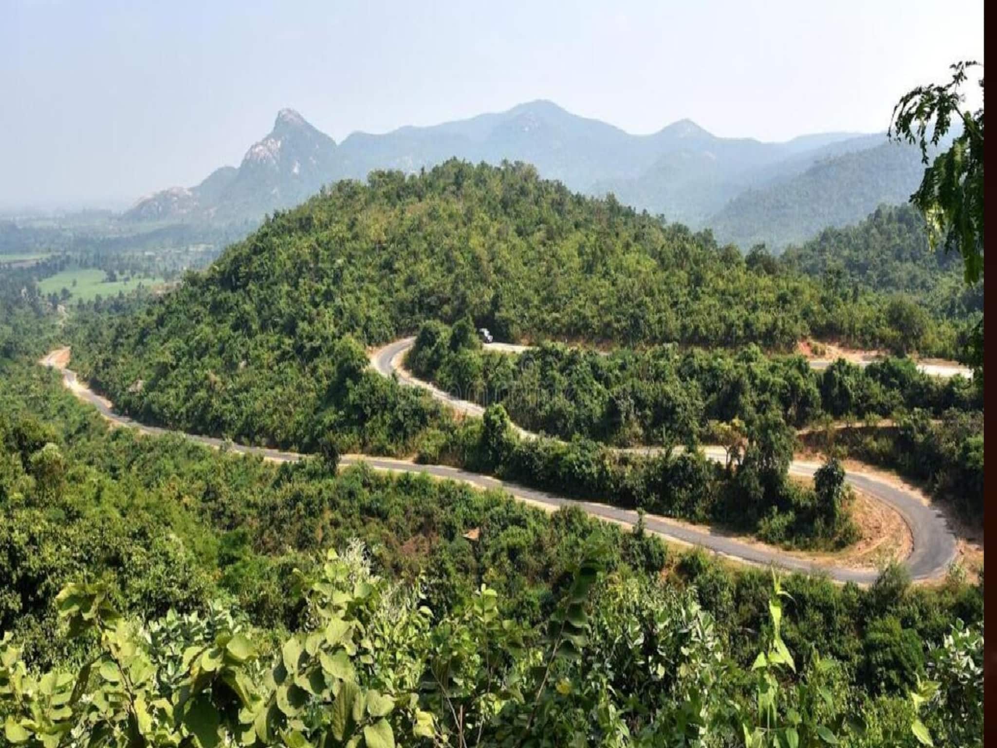 Purulia Tourism: শীতে পর্যটকদের ভিড় পুরুলিয়ার অযোধ্যা পাহাড়ে! হোটেল, হোমস্টে-তে রেকর্ড ভিড়